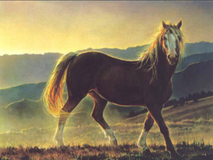 Nancy Glazier - Blaze and Star and Her Foal - Limited Edition Lithograph