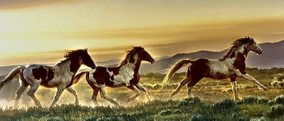 Nancy Glazier - Early Morning Run Breaking Across the Plains - Limited Edition Fine Art on Canvas