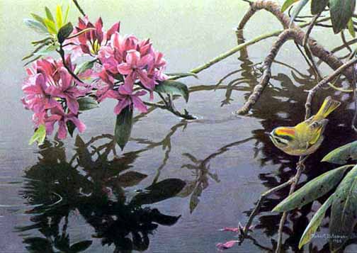 Robert Bateman - Golden Crowned Kinglet and Rhododendron - Limited Edition Lithograph