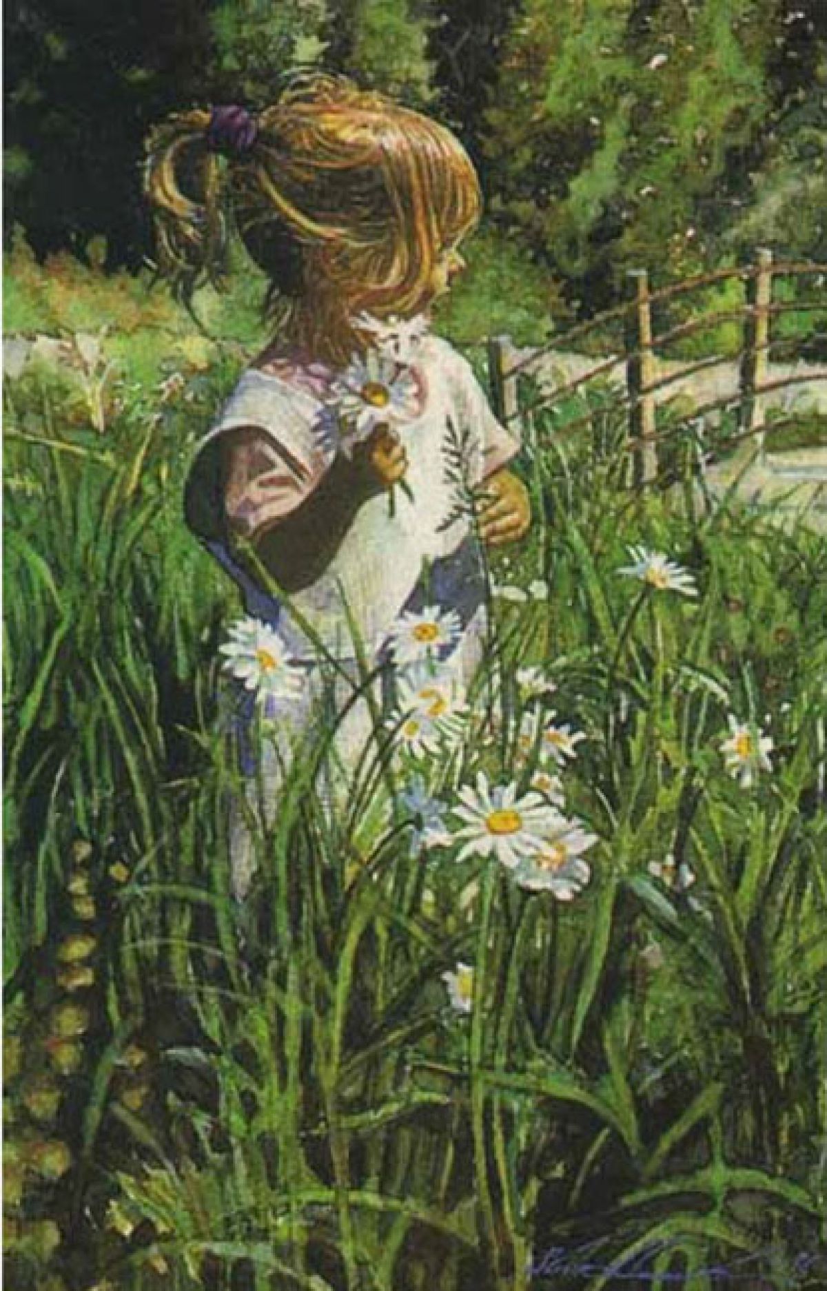 Steve Hanks - Picking Daisies - Limited Edition Lithograph