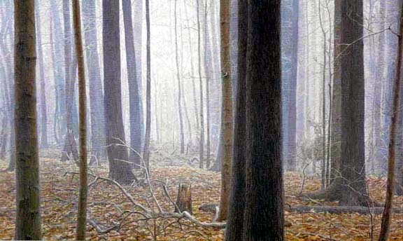 Robert Bateman - Hardwood Forest - White Tailed Deer - Limited Edition Lithograph