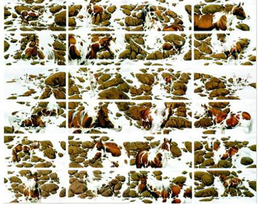 Bev Doolittle - Hide and Seek - Limited Edition Lithograph
