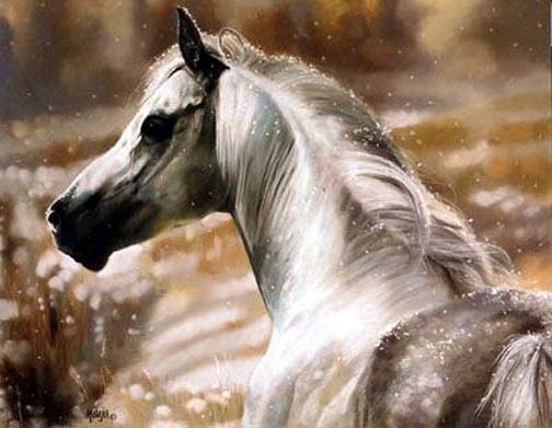  Maija - Inherit the Wind - Limited Edition Lithograph
