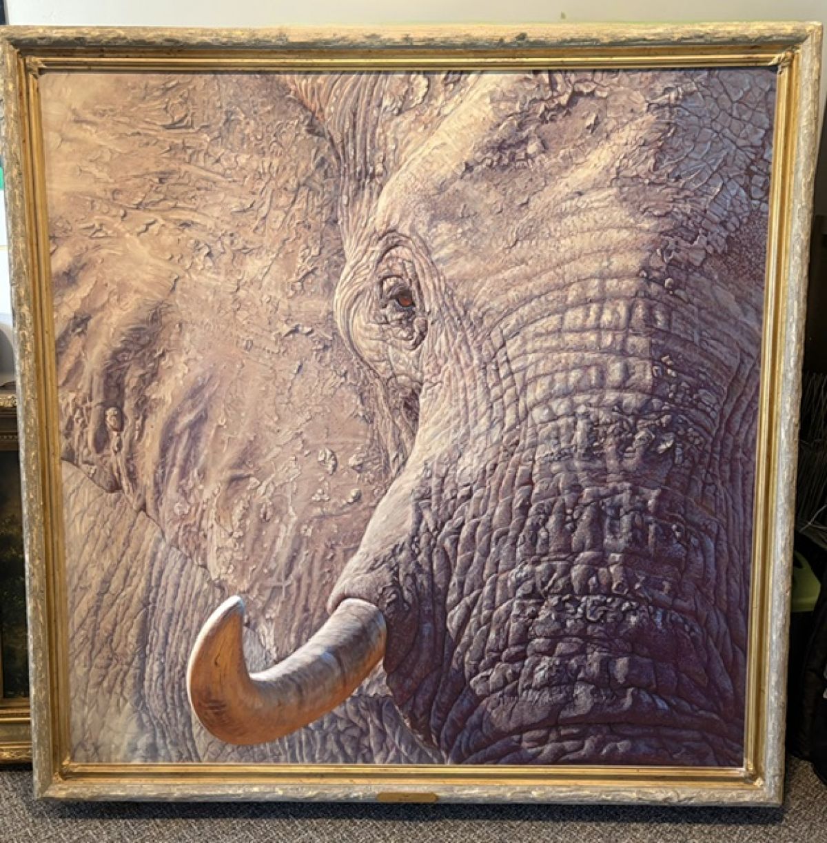 John Banovich - Tusk - Limited Edition Giclee on Canvas
