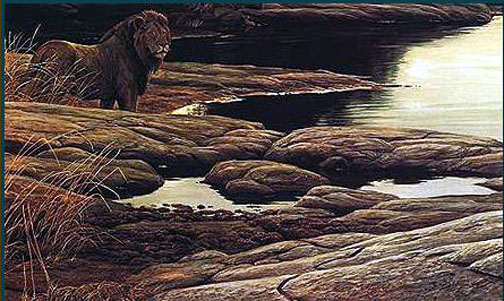 Robert Bateman - Lion at Tsavo - Limited Edition Lithograph