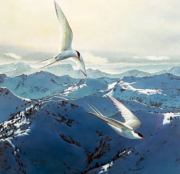 Stephen Lyman - Free Flight - Limited Edition Lithograph