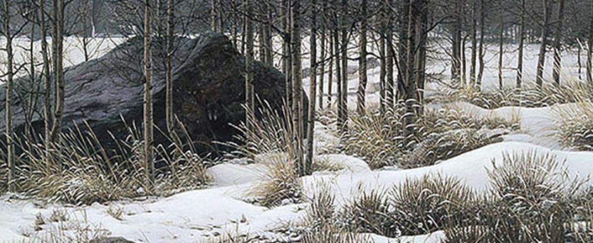 Stephen Lyman - Winter Shadows - Limited Edition Lithograph