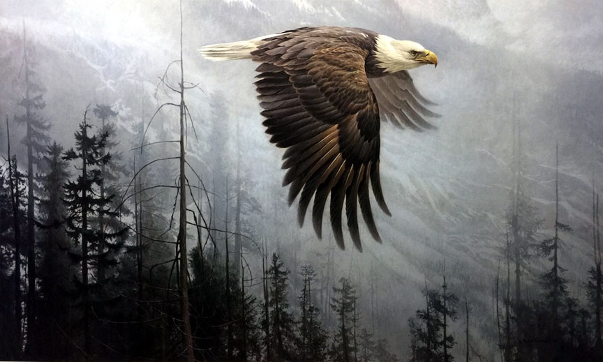 Robert Bateman - Majesty on the Wing - Bald Eagle - Limited Edition Lithograph