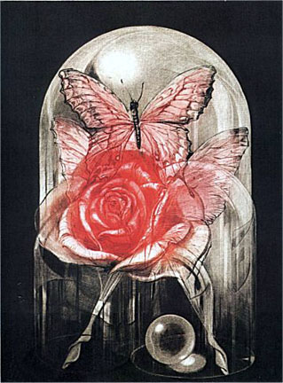 GH Rothe - Memory the Rose - Limited Edition Mezzotint