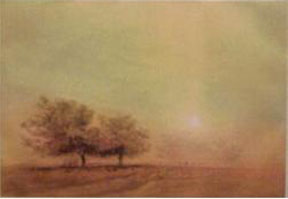 Kaiko Moti - Morning Glow - Limited Edition Aquatint Etching