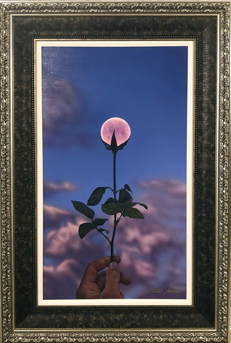 Scott Jacobs - Full Bloom - Original Painting - Acrylic on Canvas
