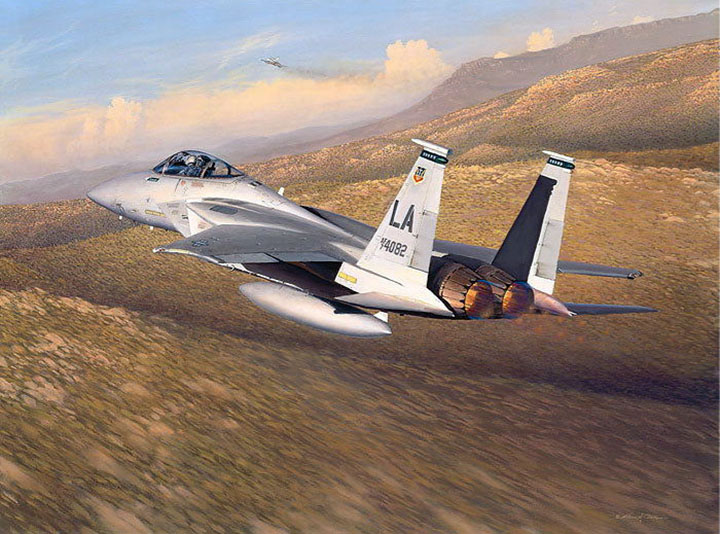 William S. Phillips - Advantage Eagle - Limited Edition Giclee