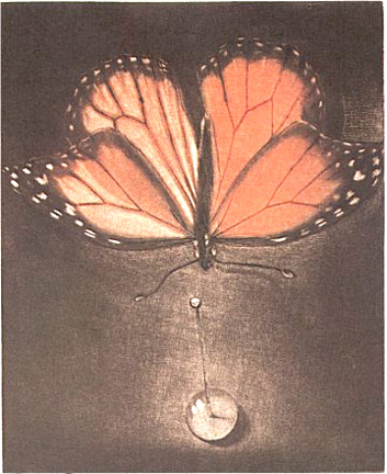 GH Rothe - Pinned Drop - Limited Edition Mezzotint