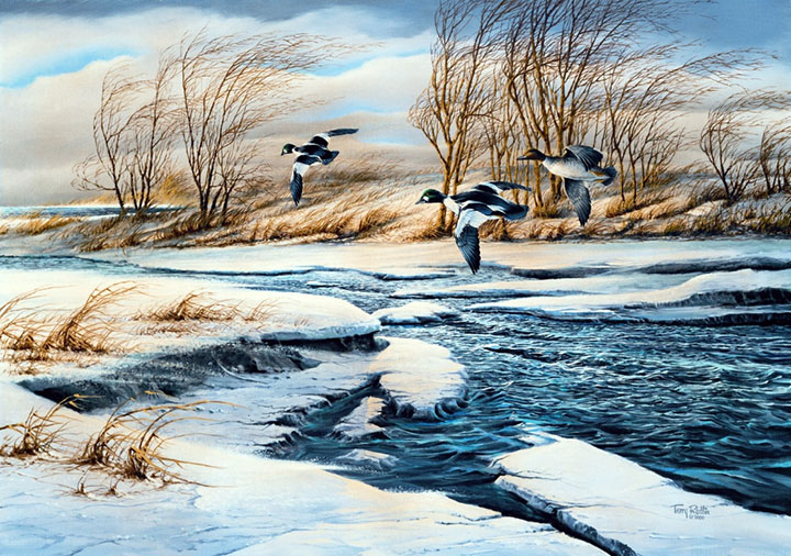 Terry Redlin - Drifting - Limited Edition Offset Lithograph