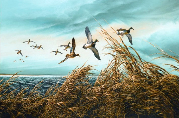 Terry Redlin - Fighting a Headwind - Limited Edition Offset Lithograph
