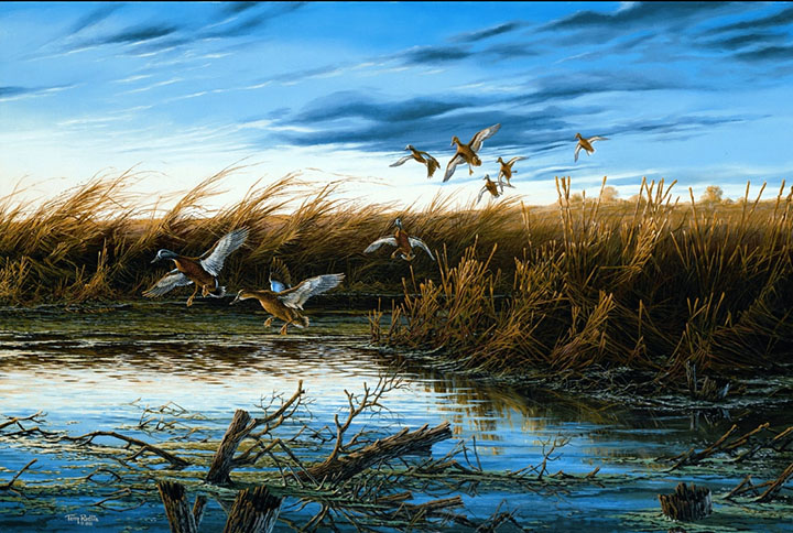 Terry Redlin - Secluded Pond Mallard - Limited Edition Offset Lithograph