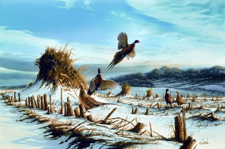Terry Redlin - Startled - Limited Edition Offset Lithograph