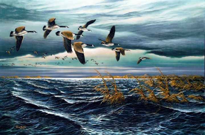 Terry Redlin - The Squall Line - Limited Edition Offset Lithograph
