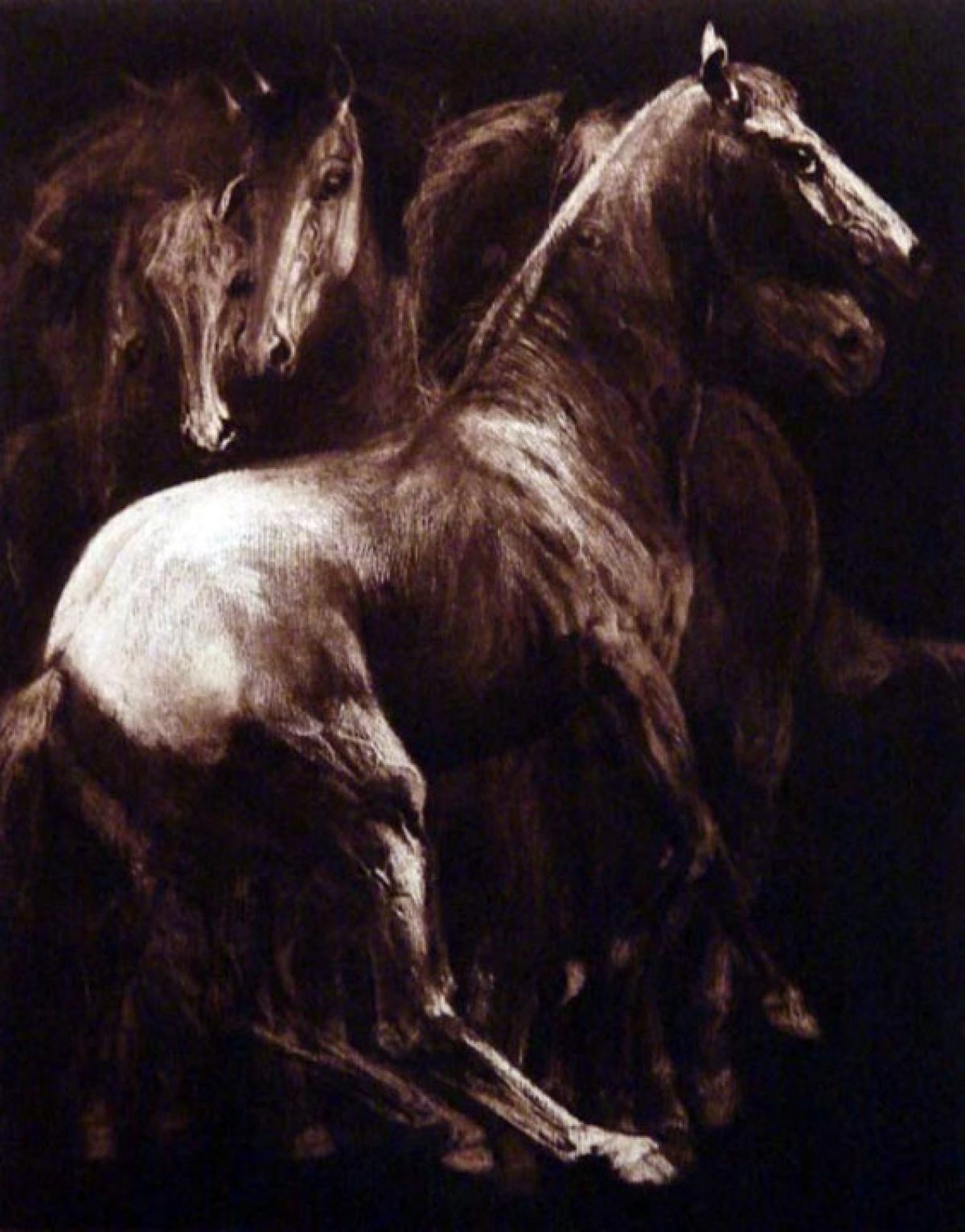 GH Rothe - Herd - Limited Edition Mezzotint