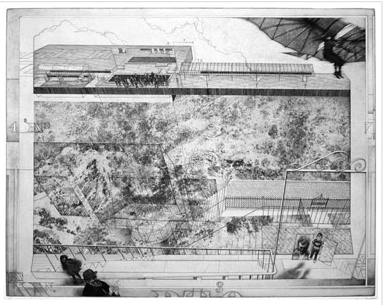 Peter Milton - Second Opinion - Limited Edition Etching and engraving