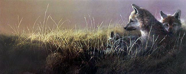 John Seerey-Lester - Abandoned - Limited Edition Lithograph