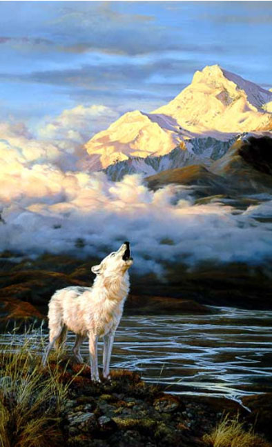 John Seerey-Lester - Alpen Glow Arctic Wolf - Limited Edition Lithograph