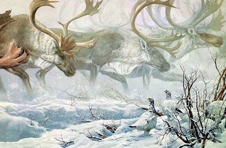 John Seerey-Lester - Arctic Procession - Limited Edition Lithograph