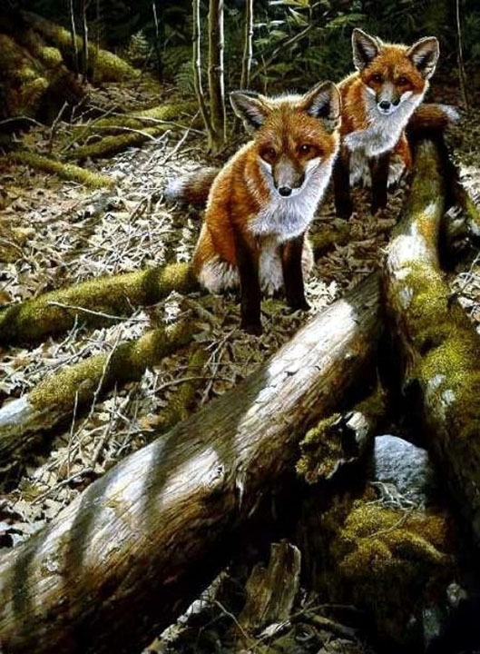 John Seerey-Lester - Children of the Forest - Limited Edition Lithograph