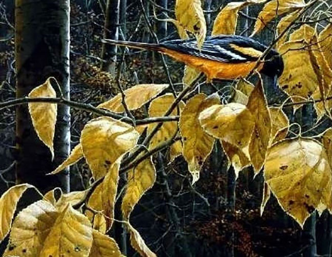 John Seerey-Lester - Cottonwood Gold - Limited Edition Lithograph