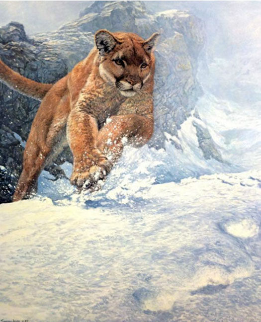 John Seerey-Lester - Cougar Run - Limited Edition Lithograph