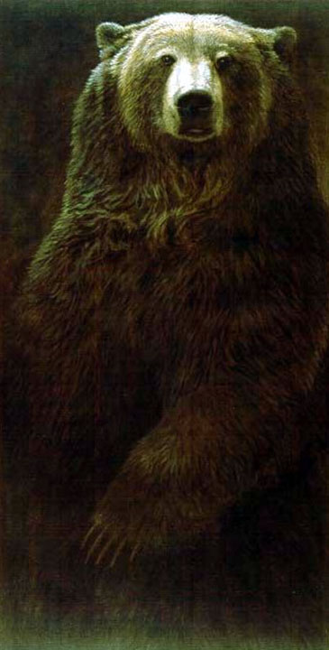 John Seerey-Lester - Dark Majesty Brown Bear - Limited Edition Lithograph