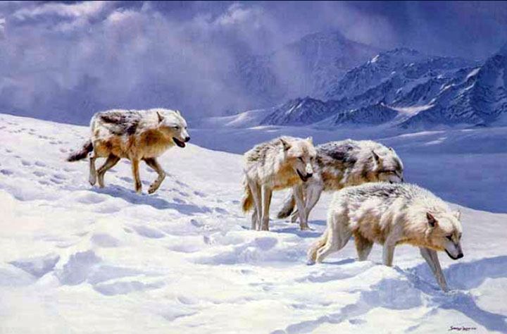 John Seerey-Lester - Racing the Storm - Arctic Wolves - Limited Edition Lithograph
