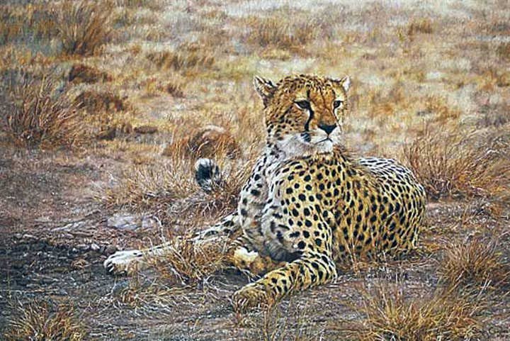 Simon Combes - Alert! - Limited Edition Offset Lithograph