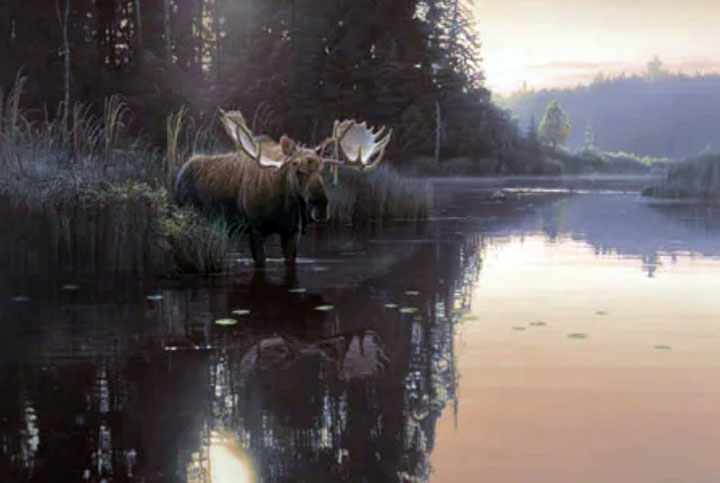 Daniel Smith - Backwater Bull - Limited Edition Lithograph
