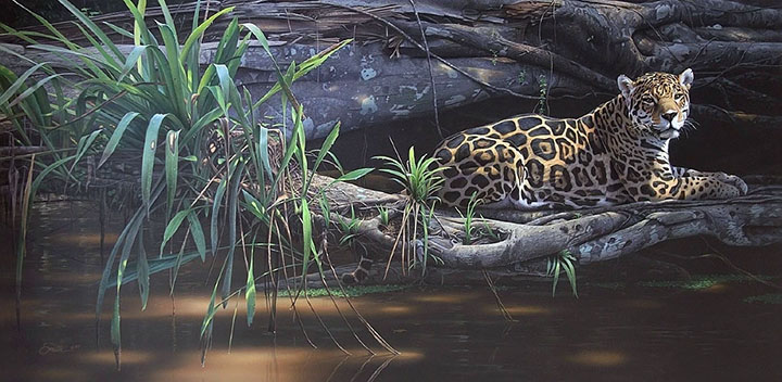 Daniel Smith - Emerald Forest Jaguar - Limited Edition Lithograph