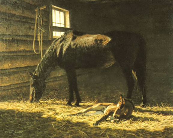 Tucker Smith - Foal - Limited Edition Lithograph