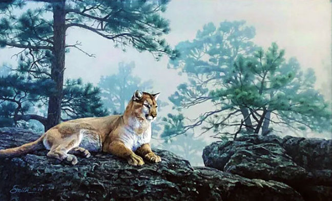 Daniel Smith - Forest Veil Cougar - Limited Edition Lithograph