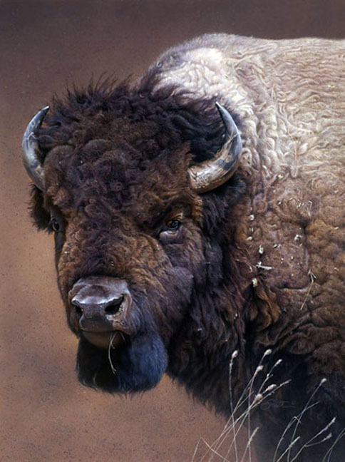 Daniel Smith - Icon of the West - Limited Edition Giclee on Canvas