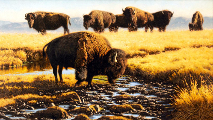 Tucker Smith - Soda Springs - Limited Edition Lithograph