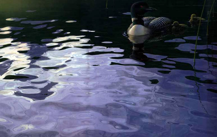 Daniel Smith - Testing the Waters - Limited Edition Lithograph