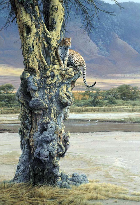 Daniel Smith - Vantage Point - Limited Edition Lithograph