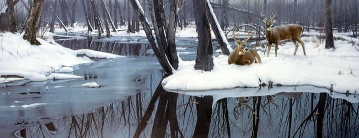 Daniel Smith - Winter Whites - Limited Edition Lithograph