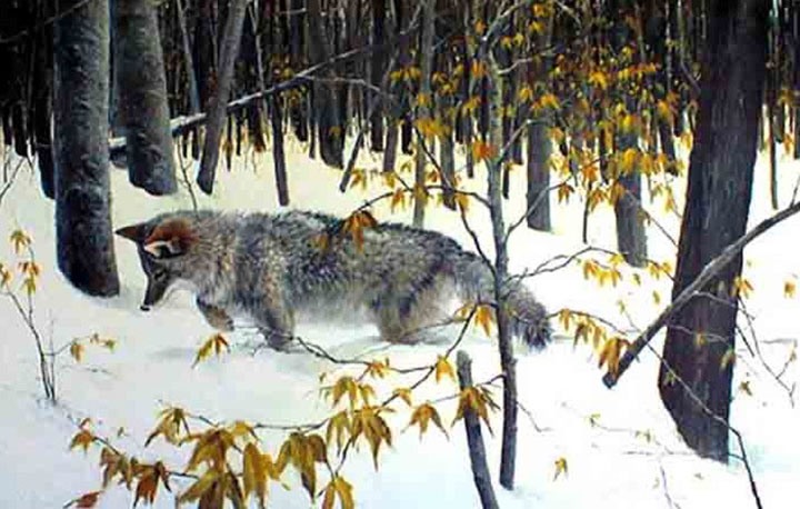 Morten Solberg - Mouse Tracks – Coyote - Limited Edition Lithograph