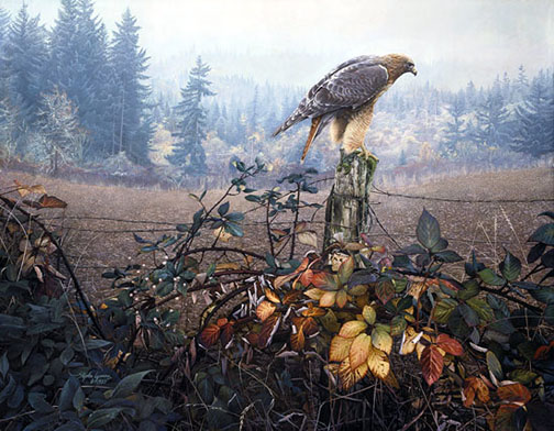Stephen Lyman - The Raptor's Watch - Limited Edition Lithograph