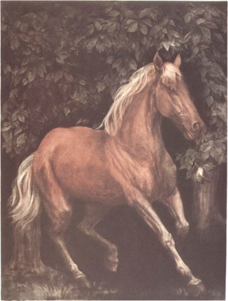 GH Rothe - Thoroughbred (Running) - Limited Edition Mezzotint