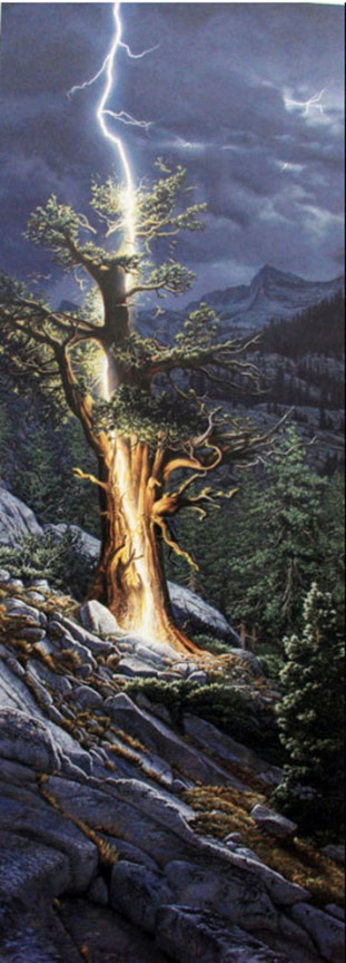 Herndon Fine Art offers authenticated Stephen Lyman fine art, including rare limited edition prints, campfire wilderness scenes, and original paintings.