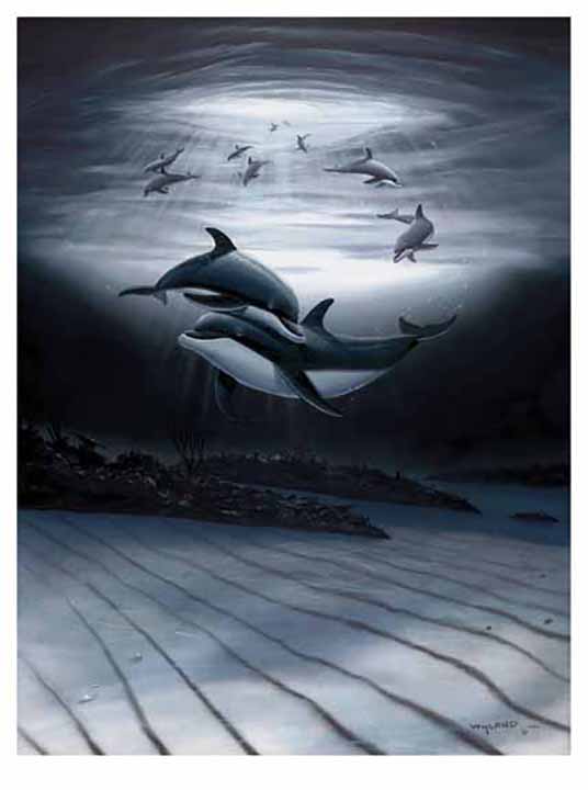 Wyland - Dolphin Affection - Limited Edition Giclee on Canvas
