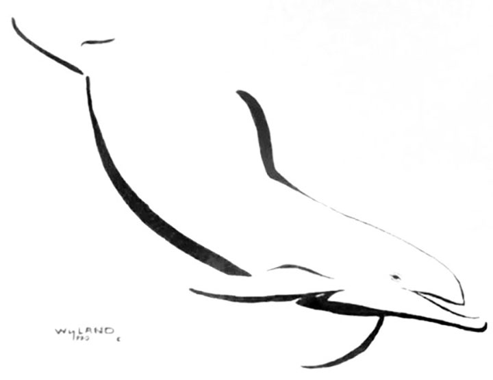 Wyland - Dolphin Down - Limited Edition Lithograph
