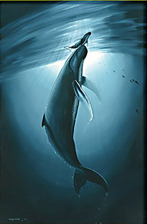 Wyland - First Breath - Limited Edition Cibachrome