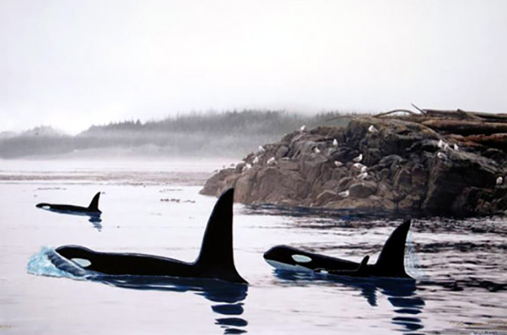 Wyland - Pacific Orca Waters - Limited Edition Giclee on Canvas